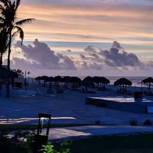 Meet your Posher, Avery